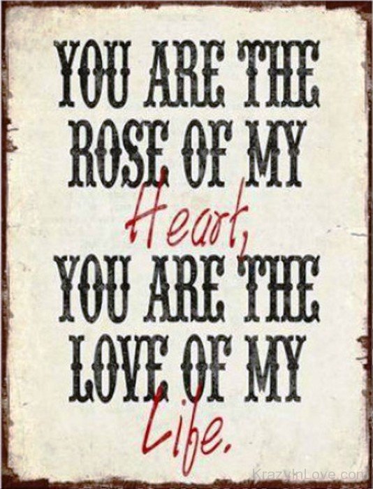 You Are The Rose Of My Heart-yhf4762