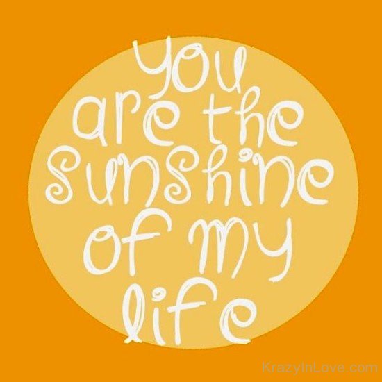 You Are The Sunshine Of My Life-yhf4764