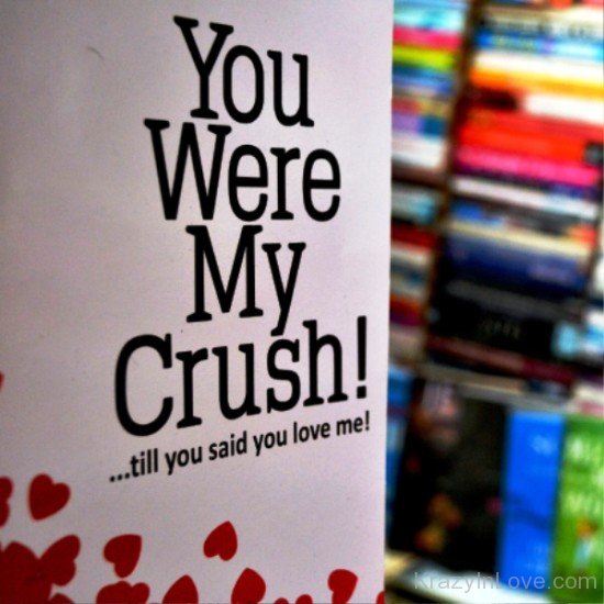 You Were My Crush-wwe739