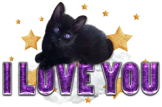 Black Cat - Love You Image-kl12