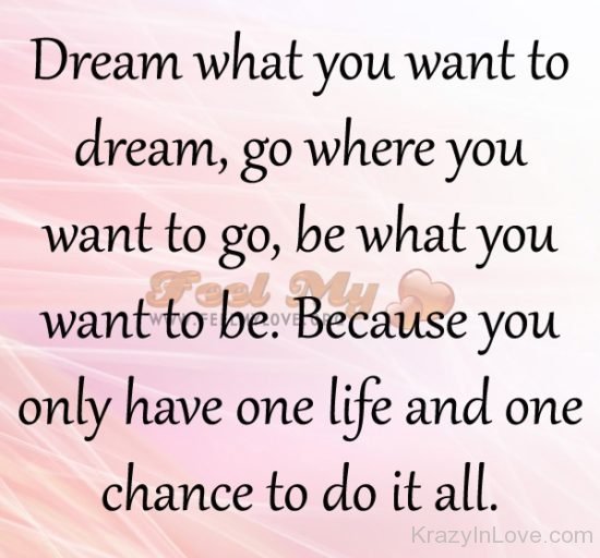 Dream What You Want To Dream
