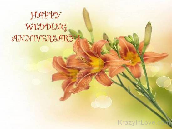 Happy Wedding Anniversary Imagekl1105