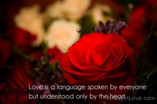 Love IS A Language kl058