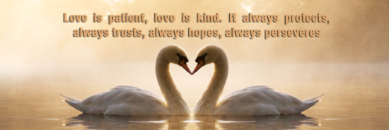 Love Is Patient kl537