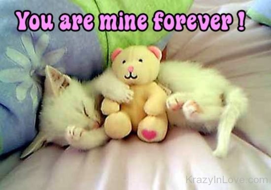 You Are Mine Forever kl327