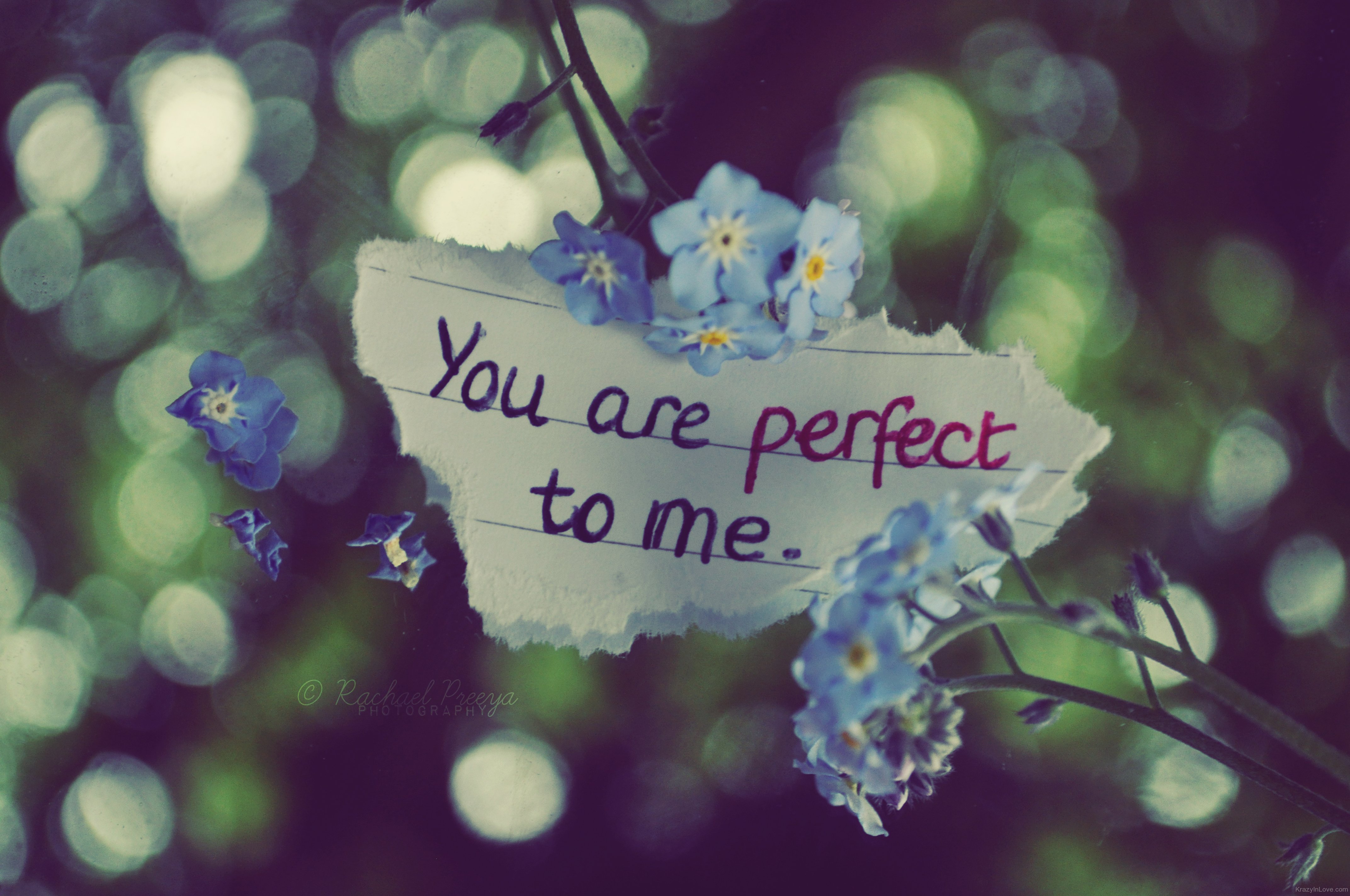 You Are Perfect To Me