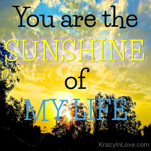 You Are The Sunshine Of My Life